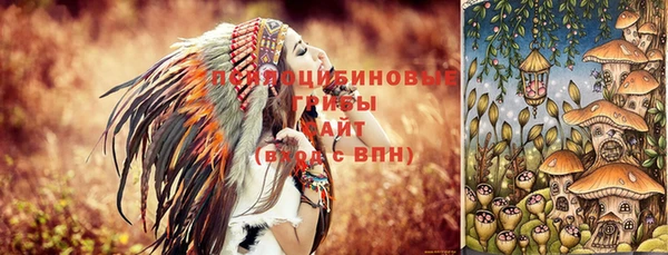 ГАЛЛЮЦИНОГЕННЫЕ ГРИБЫ Балабаново