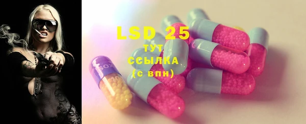 ГАЛЛЮЦИНОГЕННЫЕ ГРИБЫ Балабаново