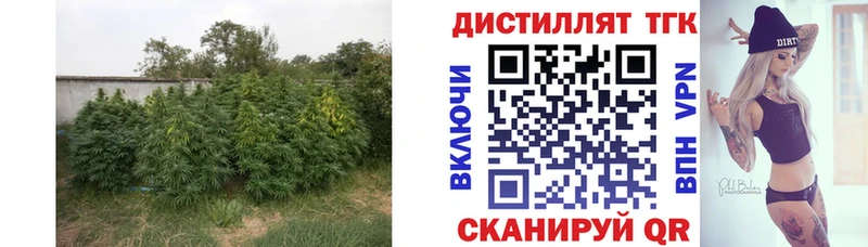 Купить  Соликамск  ТГК жижа 
